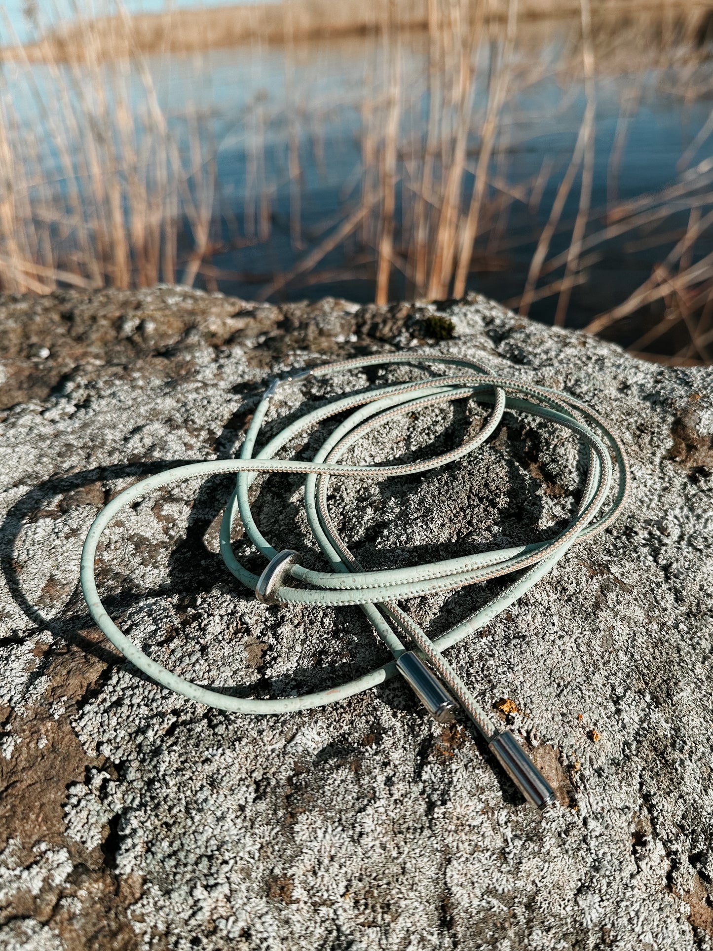 Spaghetti pistaatsia