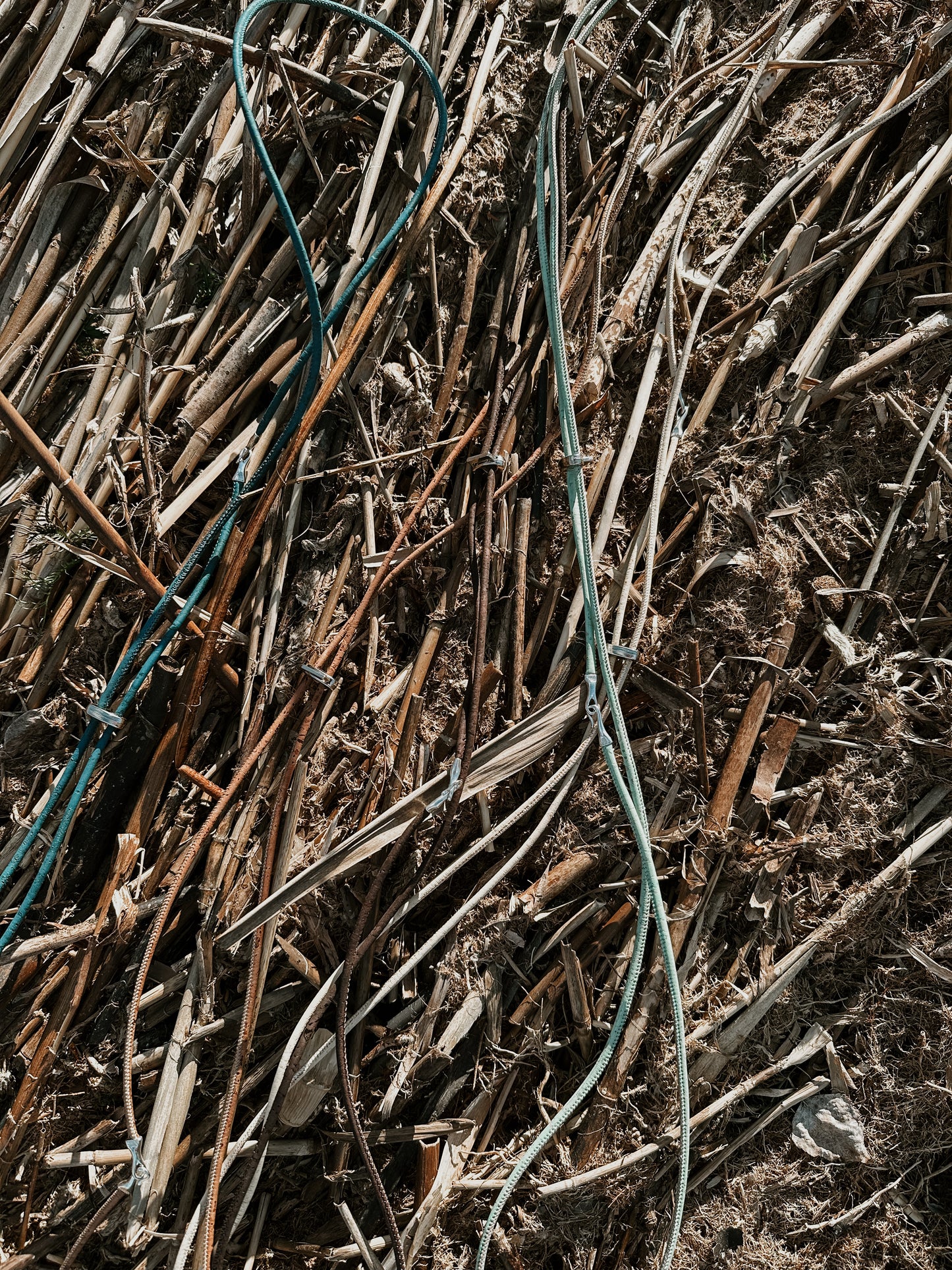 Spaghetti kohv